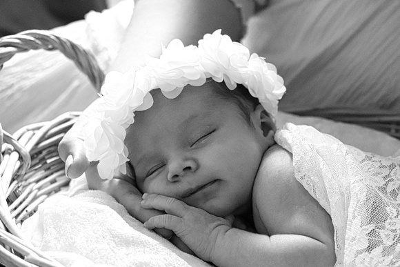 B b&W IMG_8089_InPixio