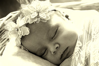 a vin IMG_7989_InPixio