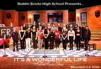 tech IT’S A WONDERFUL LIFE(3)